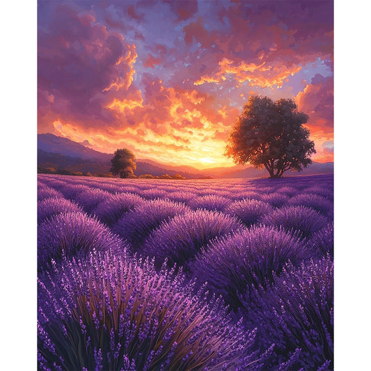 Lavendelfelder - Malen nach Zahlen