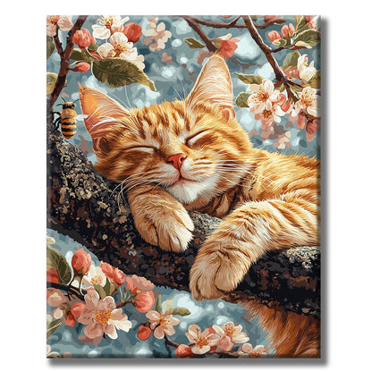 Cat's-Delight - Malen nach Zahlen